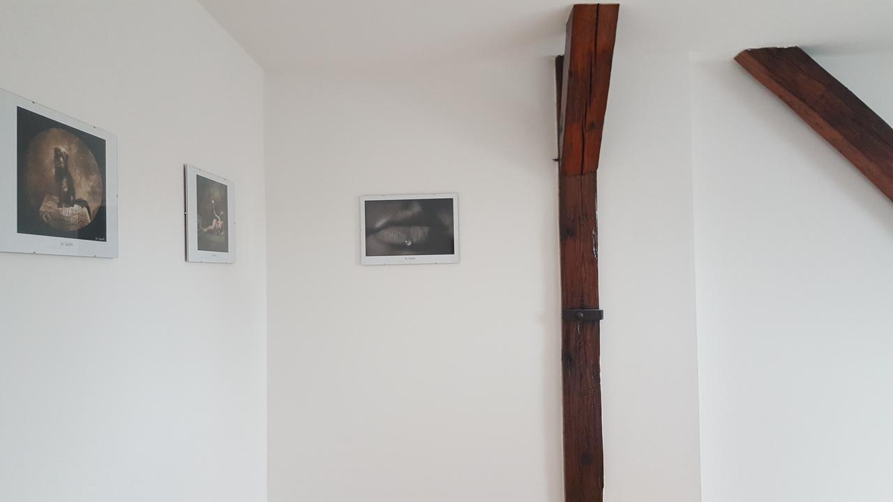 Apartmany Za Sakurou Hodonín Екстериор снимка
