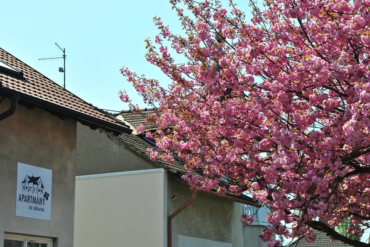 Apartmany Za Sakurou Hodonín Екстериор снимка